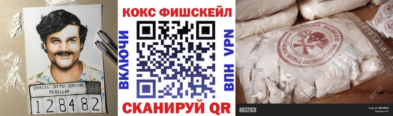 Купить закладки  Нытва  COCAIN Эквадор 