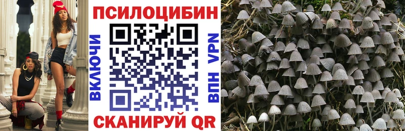 Галлюциногенные грибы Magic Shrooms  Купить закладки  Нытва 